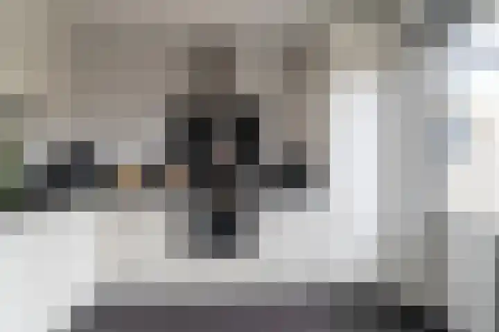 Papaver 23 Werkendam thumbnail 11