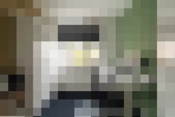 Papaver 23 Werkendam thumbnail 18