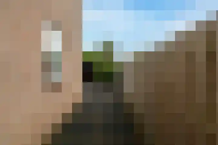 Papaver 23 Werkendam thumbnail 27