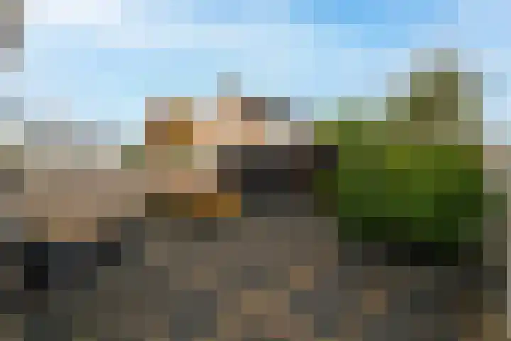Papaver 23 Werkendam thumbnail 28