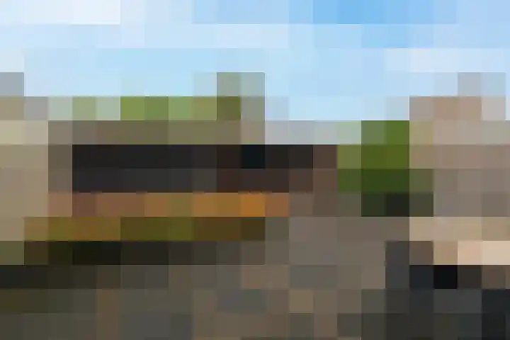 Papaver 23 Werkendam thumbnail 29