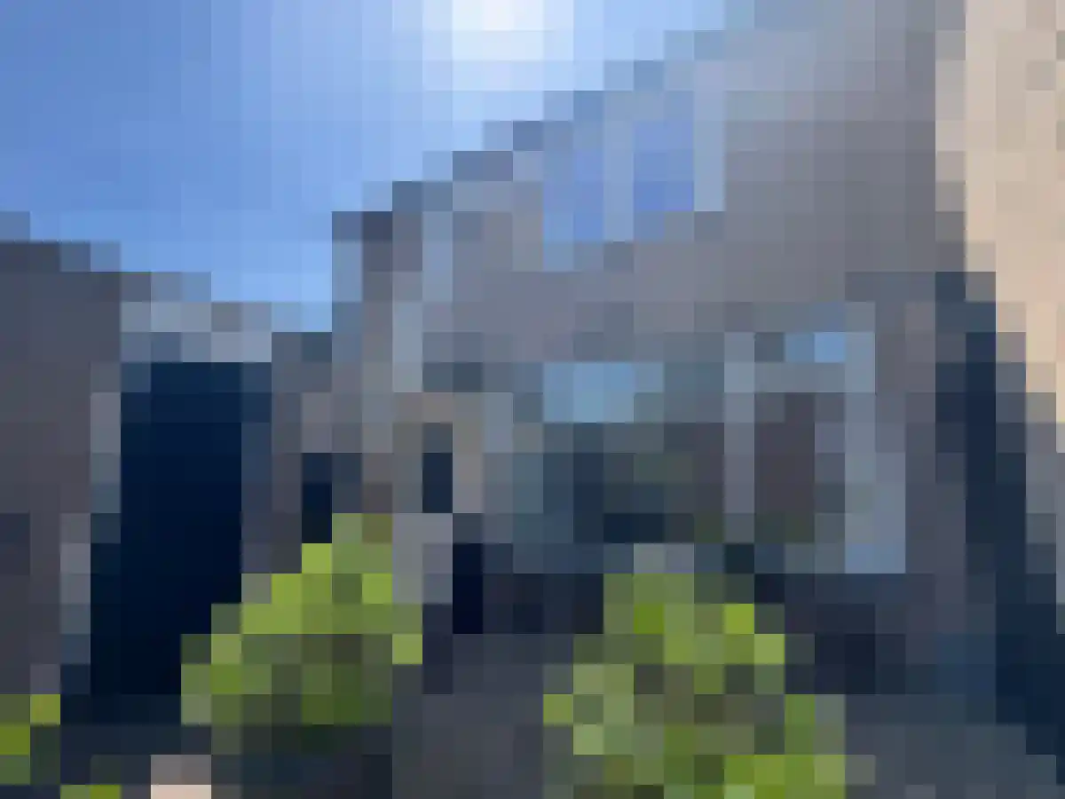 Papaver 3 Nieuwegein thumbnail 5