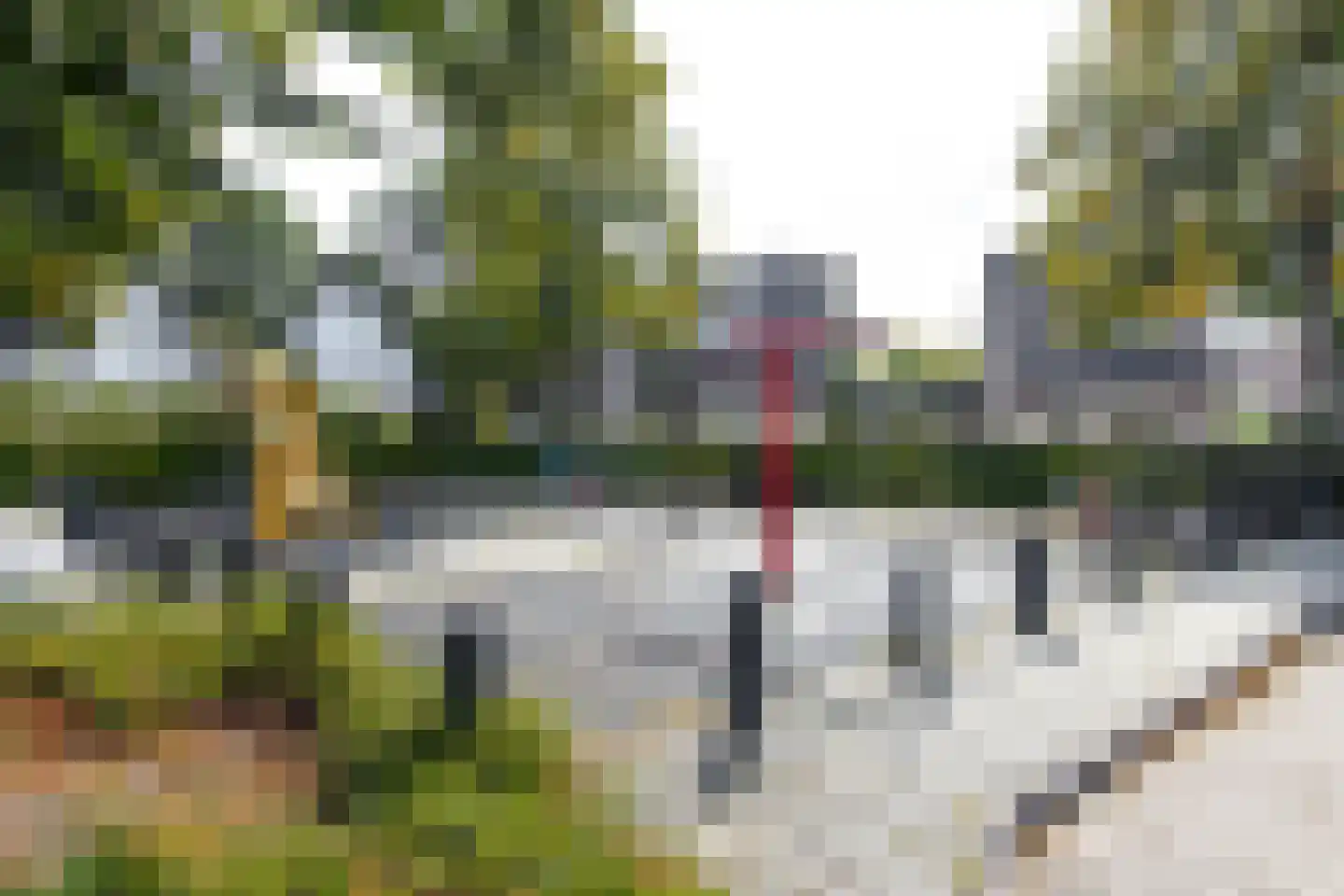 Papaver 44 Werkendam thumbnail 5