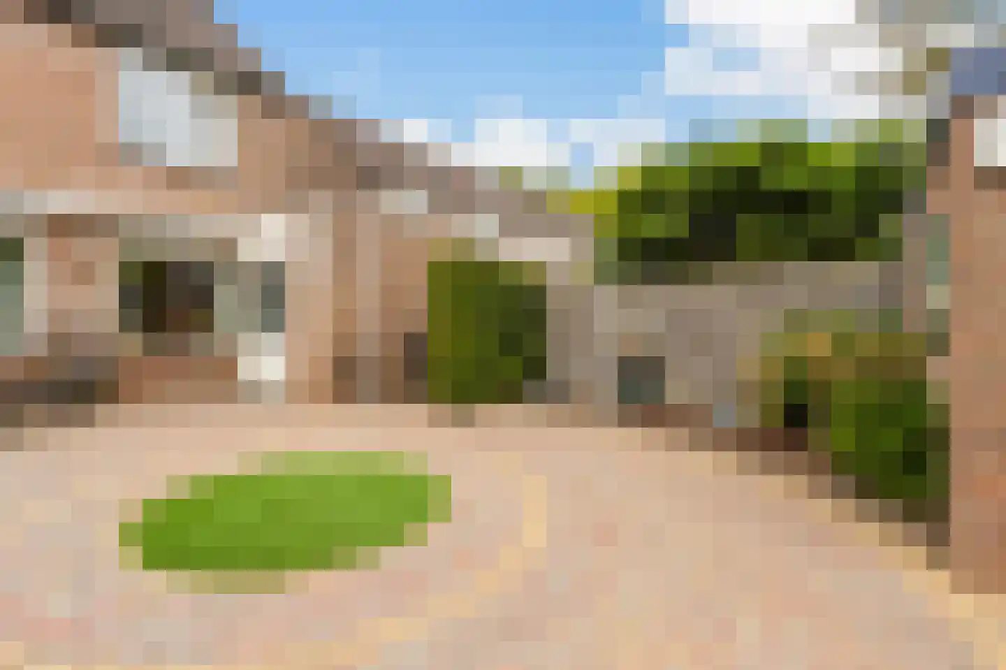 Papaver 44 Werkendam thumbnail 64
