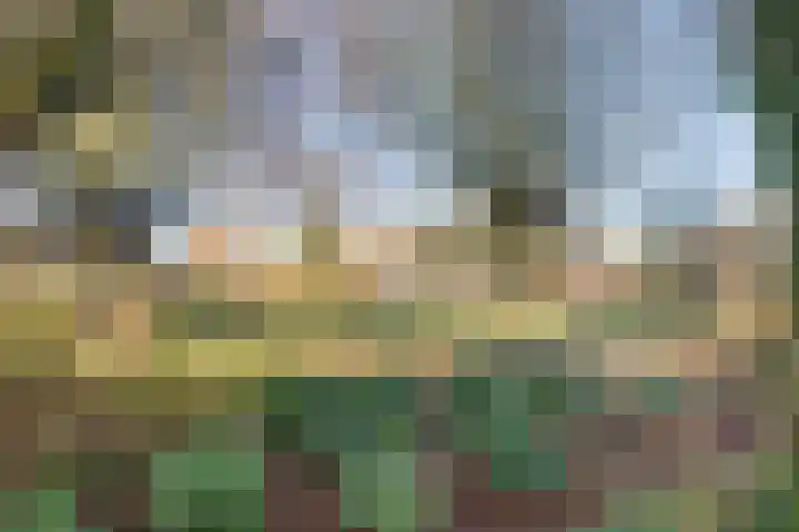 Papaver 50 Werkendam thumbnail 33