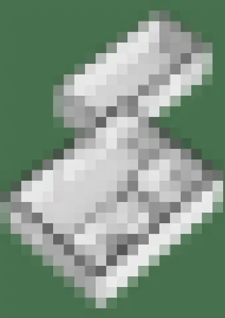 Papaver 50 Werkendam thumbnail 35
