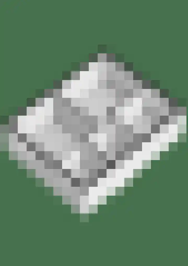 Papaver 50 Werkendam thumbnail 37
