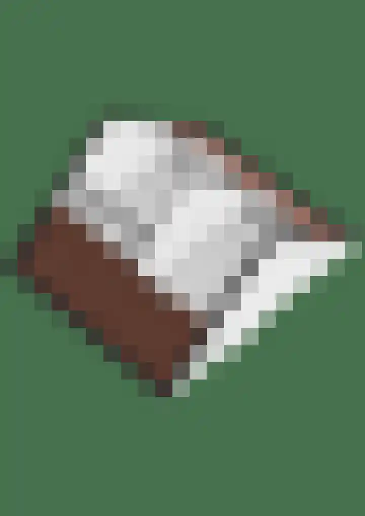 Papaver 50 Werkendam thumbnail 39