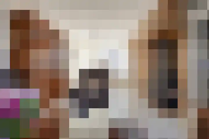 Papaver 50 Werkendam thumbnail 4