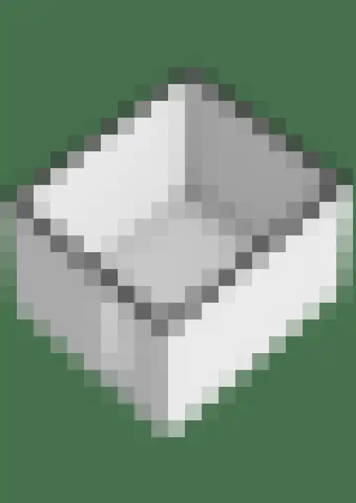Papaver 50 Werkendam thumbnail 41