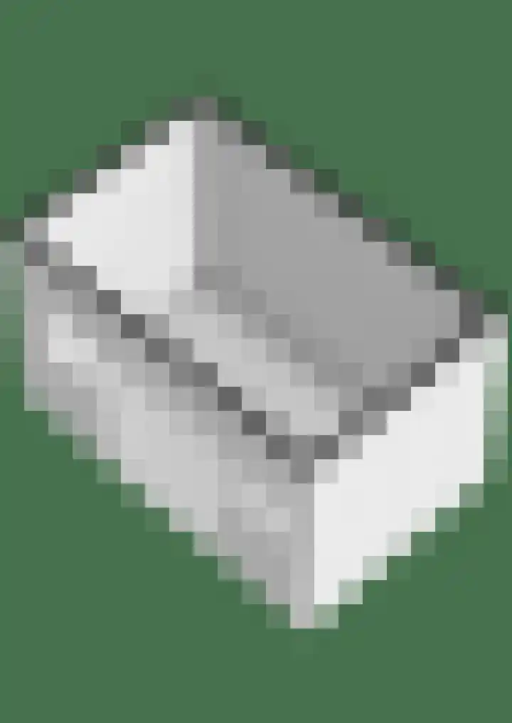 Papaver 50 Werkendam thumbnail 43