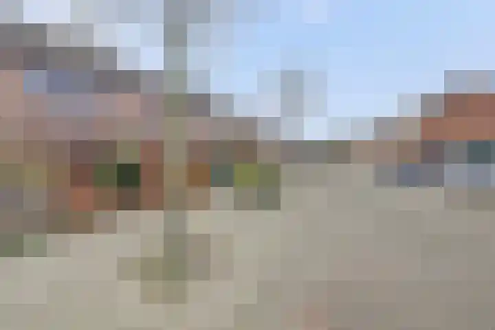 Papaver 7 Hoogvliet Rotterdam thumbnail 6