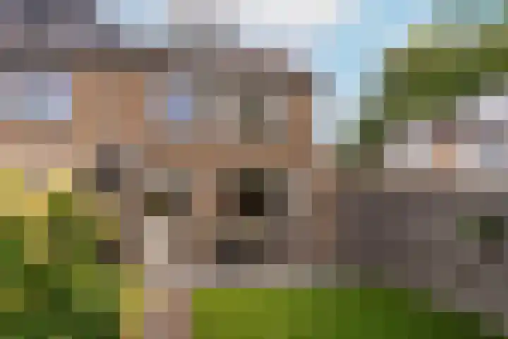 Papaver 7 Nieuwegein thumbnail 22