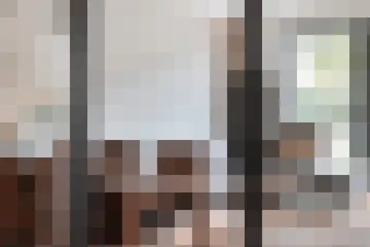 Papaverhof 1 Zwolle thumbnail 15