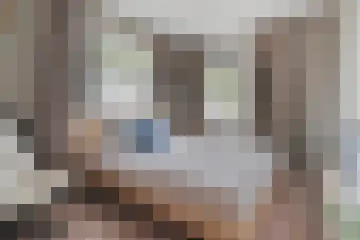 Papaverhof 1 Zwolle thumbnail 25
