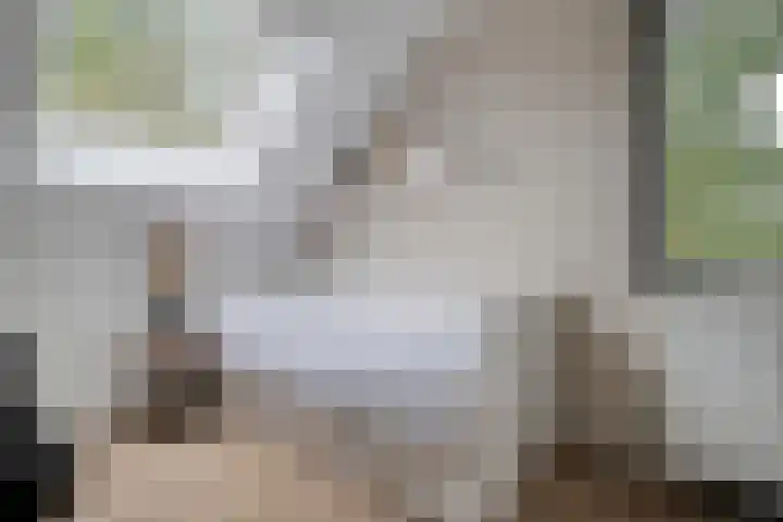 Papaverhof 1 Zwolle thumbnail 33