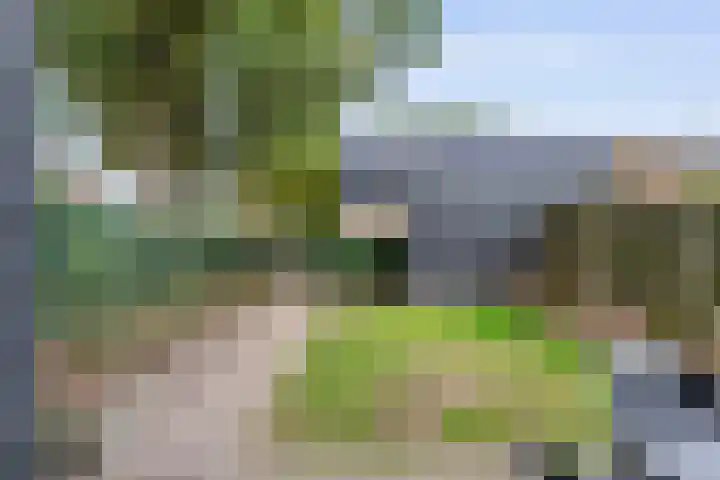 Papaverhof 1 Zwolle thumbnail 38