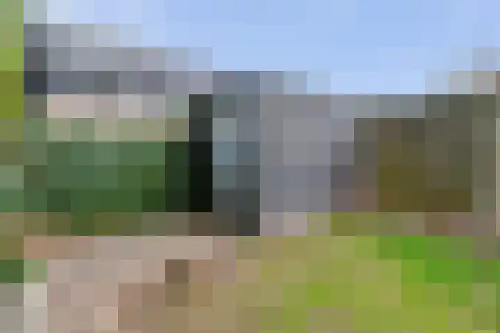 Papaverhof 1 Zwolle thumbnail 39