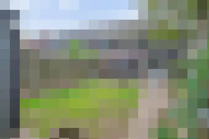 Papaverhof 1 Zwolle thumbnail 40