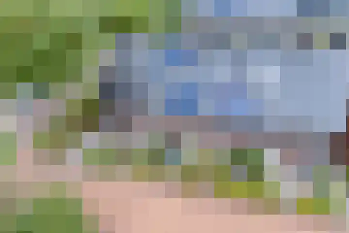 Papaverhof 1 Zwolle thumbnail 41