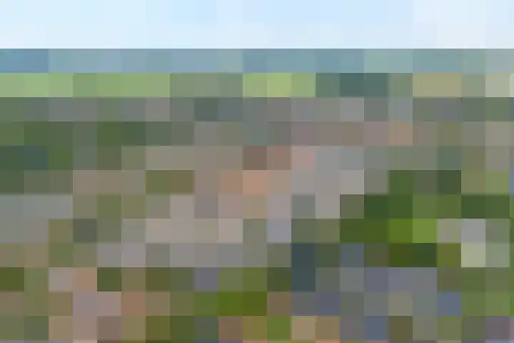 Papaverhof 1 Zwolle thumbnail 42