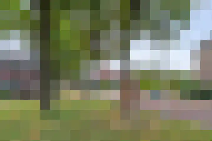 Papaverhof 1 Zwolle thumbnail 6