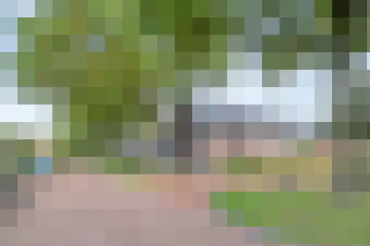 Papaverhof 1 Zwolle thumbnail 7