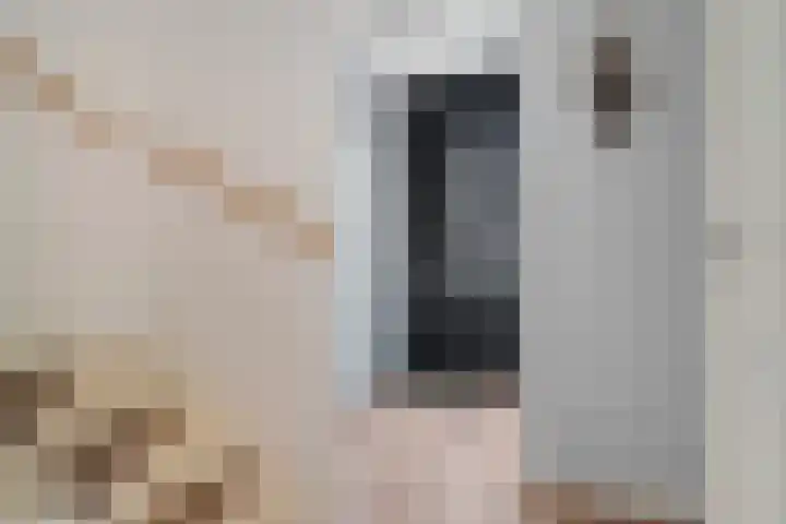 Papaverhof 1 Zwolle thumbnail 8