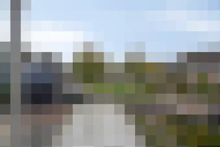 Papaverhof 2 Barneveld thumbnail 18