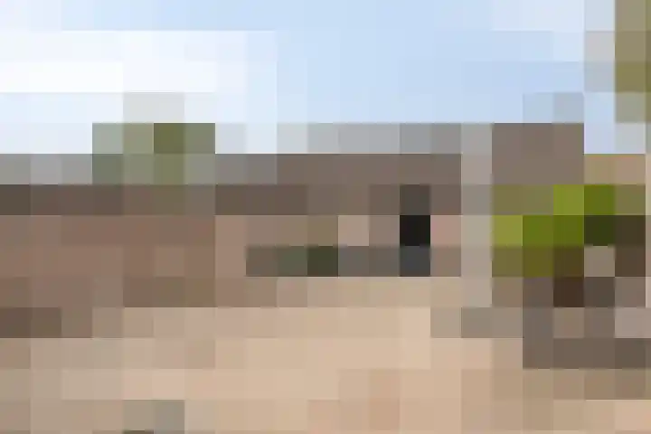 Papaverhof 2 Barneveld thumbnail 26