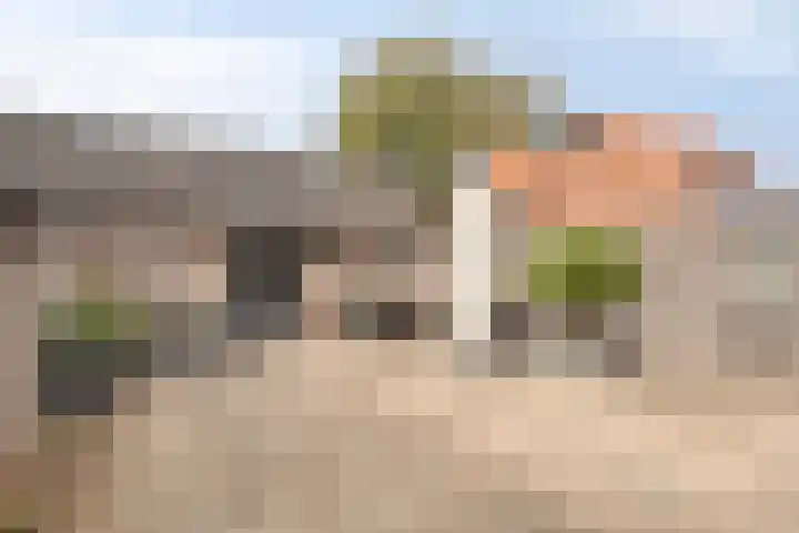 Papaverhof 2 Barneveld thumbnail 27