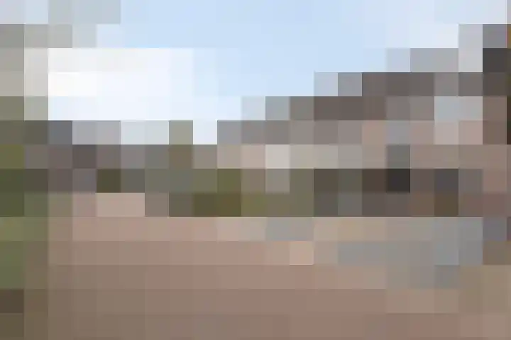 Papaverhof 2 Barneveld thumbnail 30