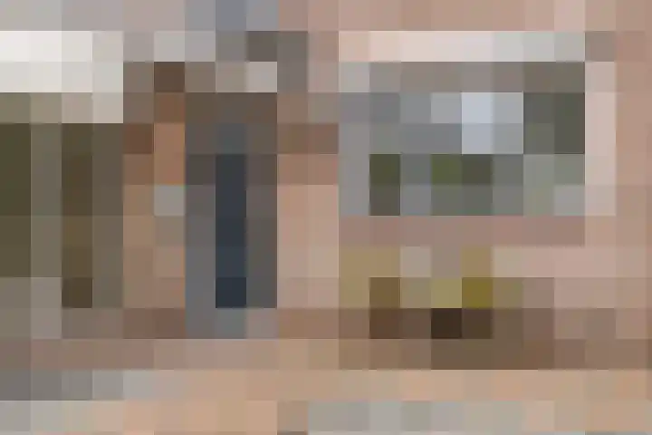 Papaverhof 2 Barneveld thumbnail 4