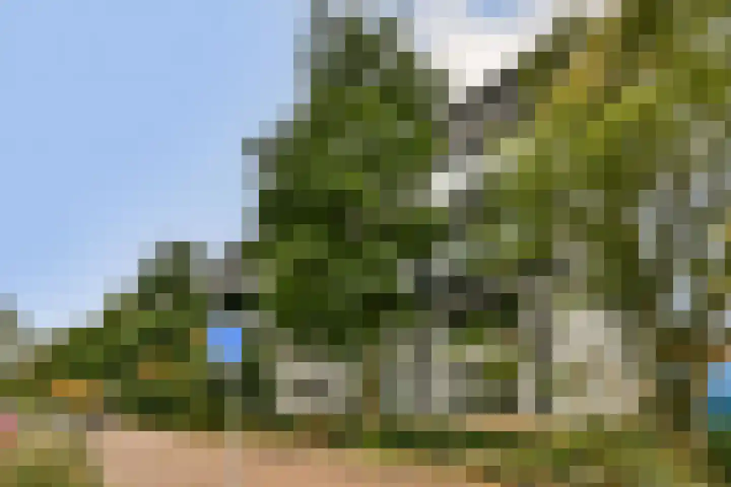 Papaverhof 35 Amsterdam thumbnail 13