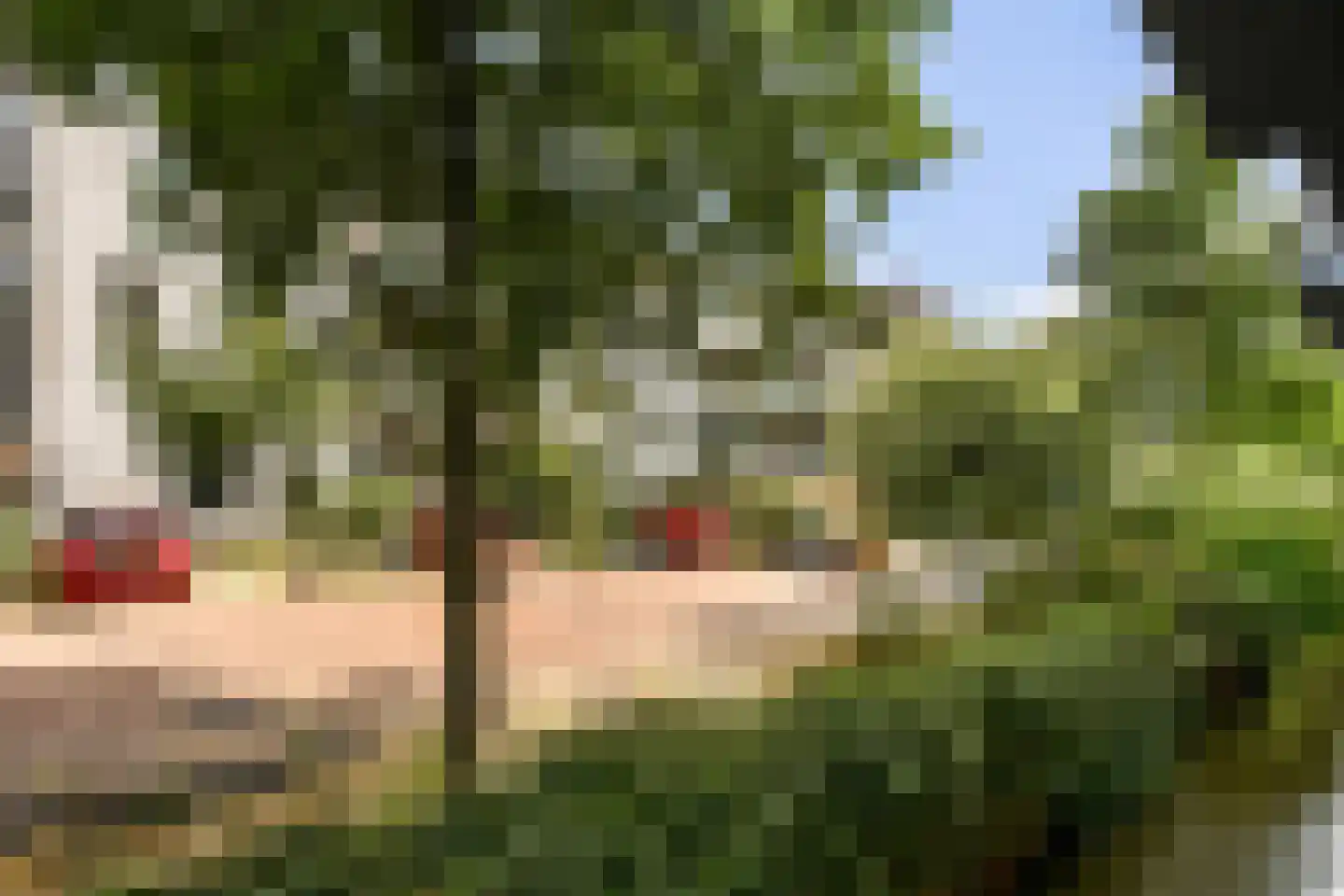 Papaverhof 35 Amsterdam thumbnail 16