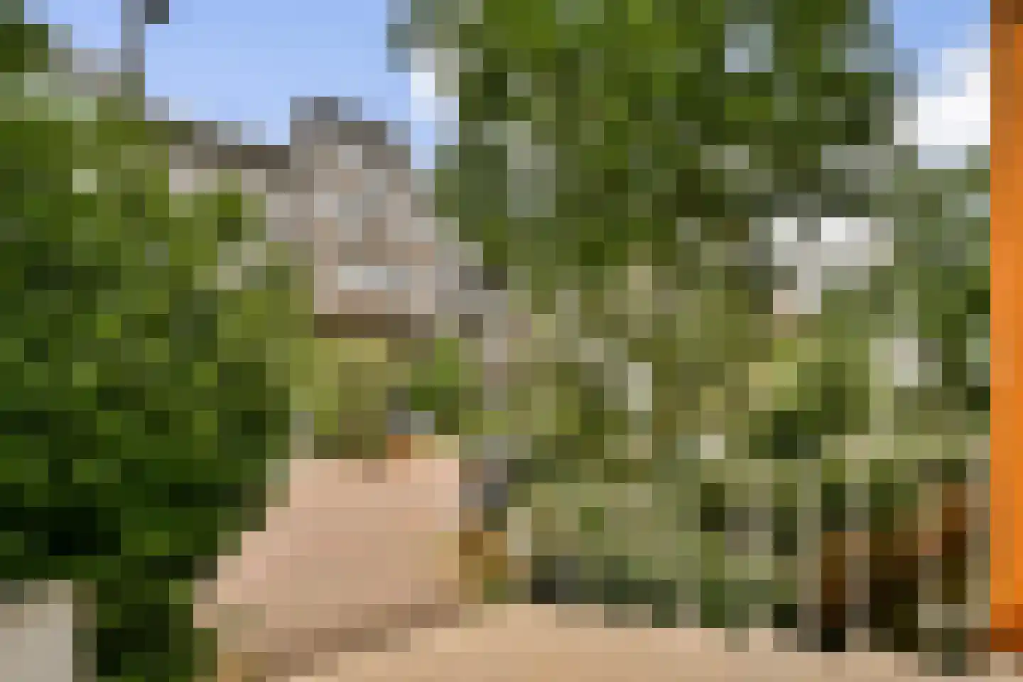 Papaverhof 35 Amsterdam thumbnail 17