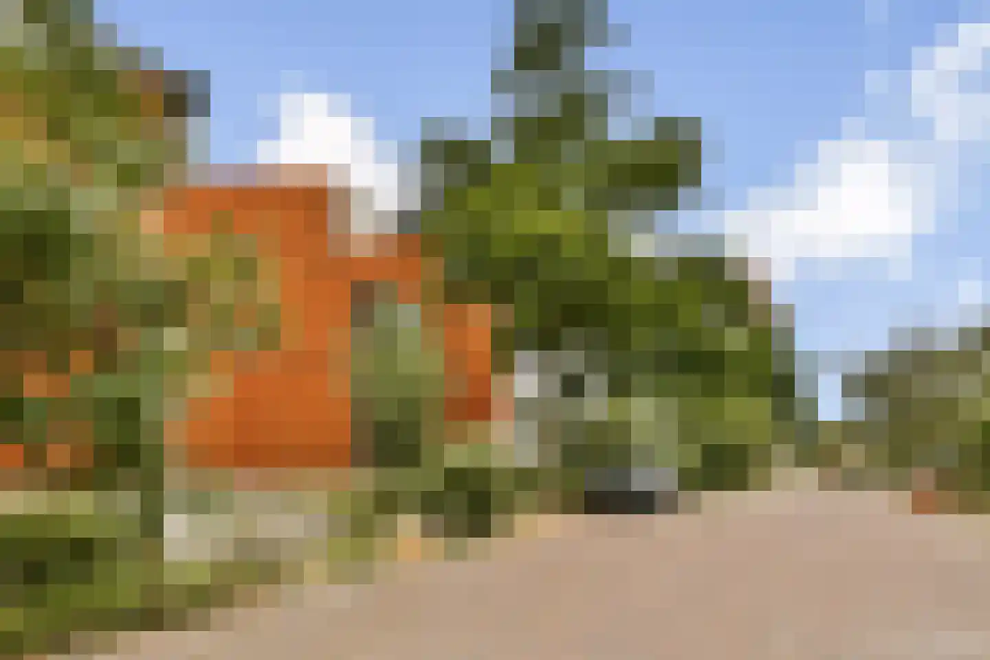 Papaverhof 35 Amsterdam thumbnail 18