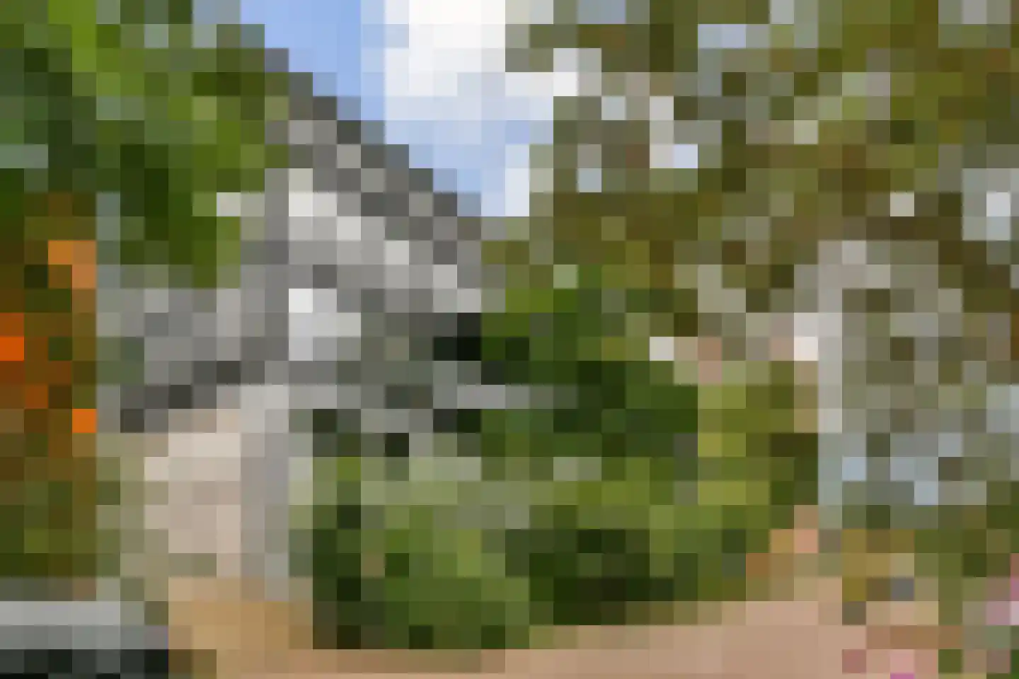 Papaverhof 35 Amsterdam thumbnail 21