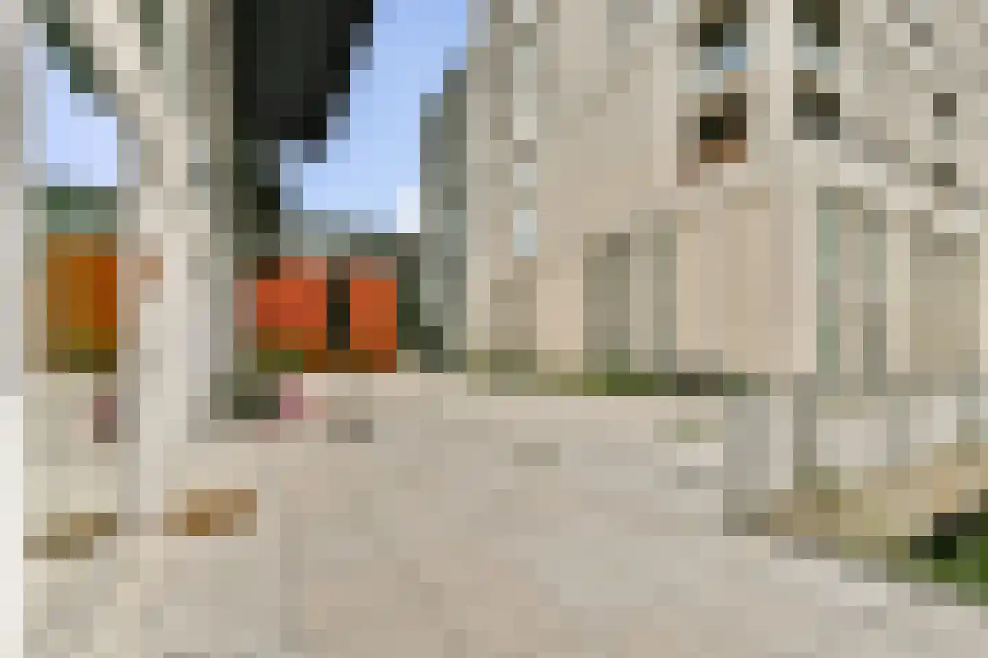Papaverhof 35 Amsterdam thumbnail 7