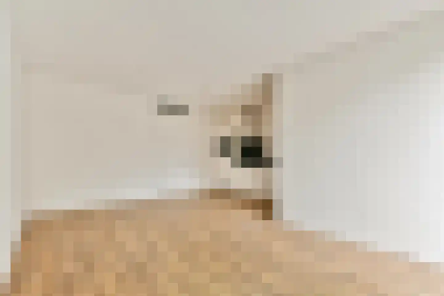 Papaverhof 35 Amsterdam thumbnail 8
