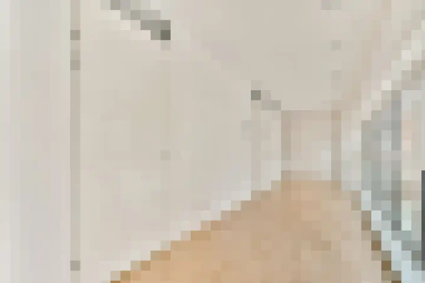 Papaverhof 39 Amsterdam thumbnail 8