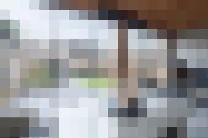 Papaverhof 41 Barneveld thumbnail 34
