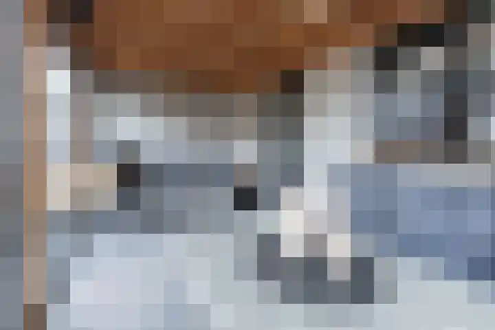 Papaverhof 41 Barneveld thumbnail 36