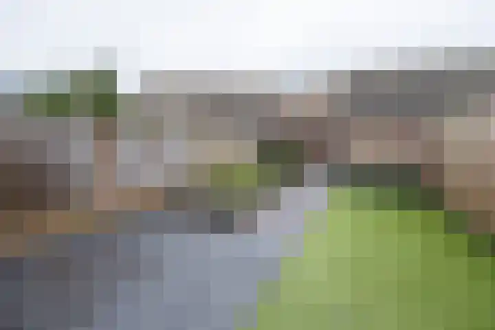 Papaverhof 41 Barneveld thumbnail 38