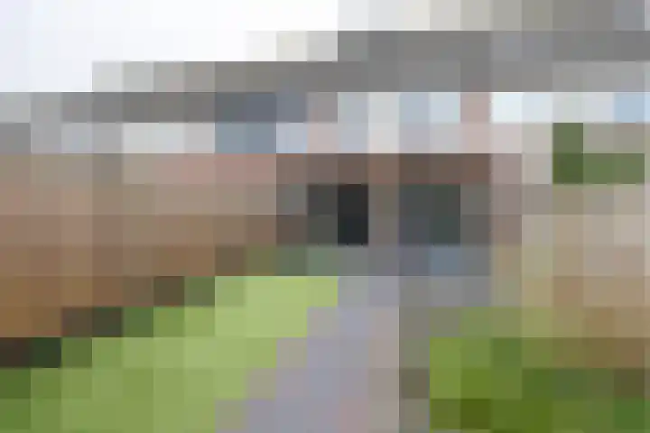 Papaverhof 41 Barneveld thumbnail 43