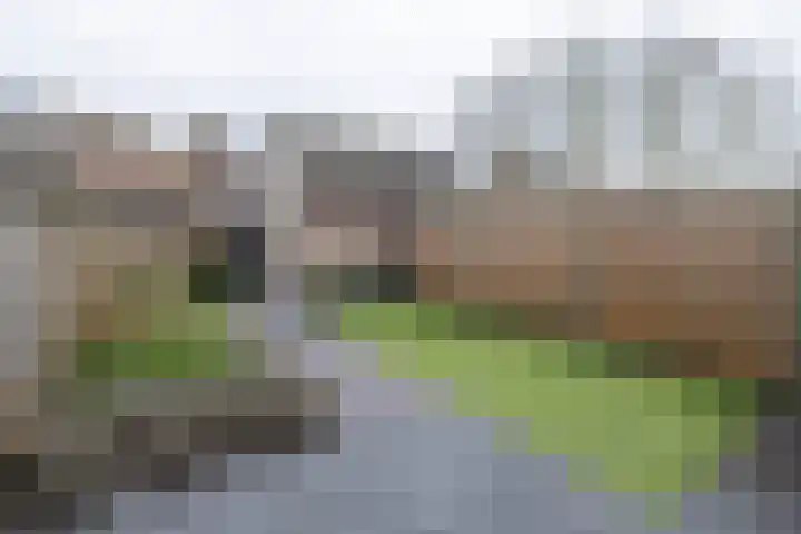 Papaverhof 41 Barneveld thumbnail 44