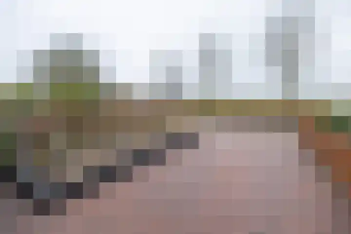 Papaverhof 41 Barneveld thumbnail 45