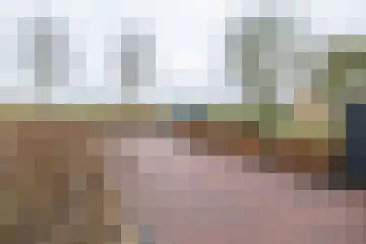 Papaverhof 41 Barneveld thumbnail 46