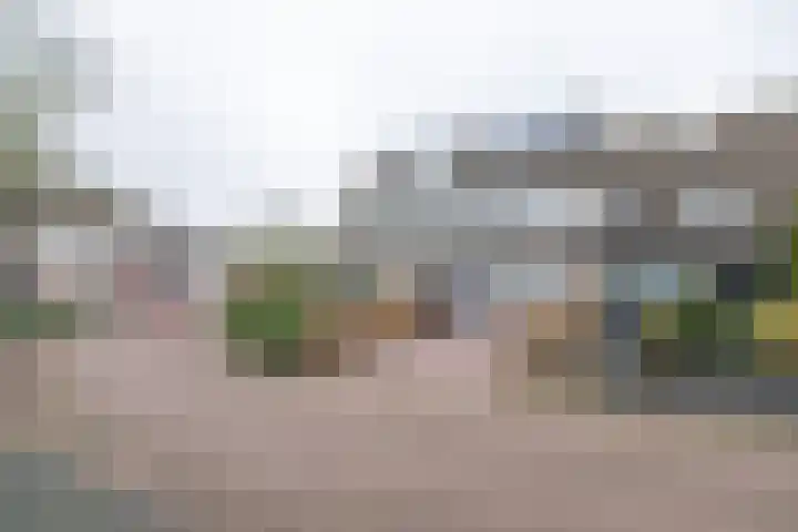 Papaverhof 41 Barneveld thumbnail 48