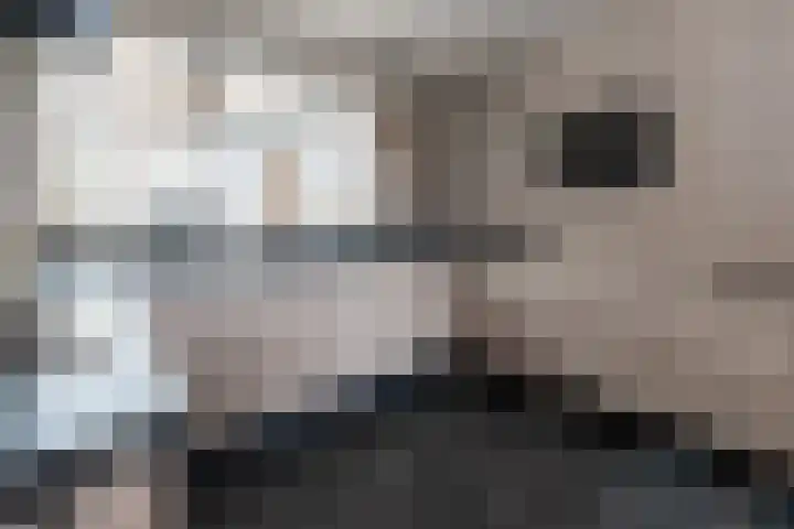 Papaverhof 41 Barneveld thumbnail 9
